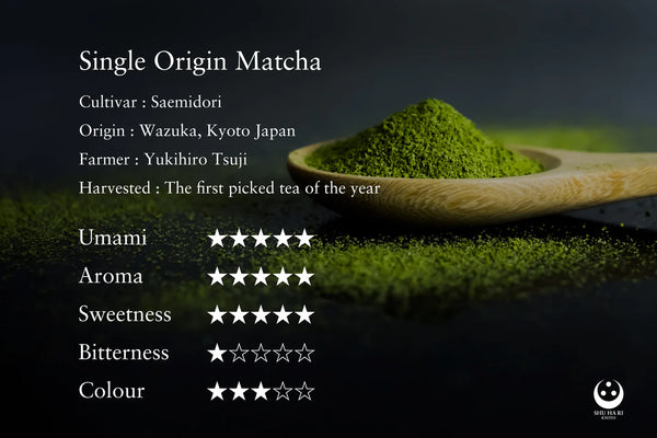 Shu Ha Ri - Saemidori